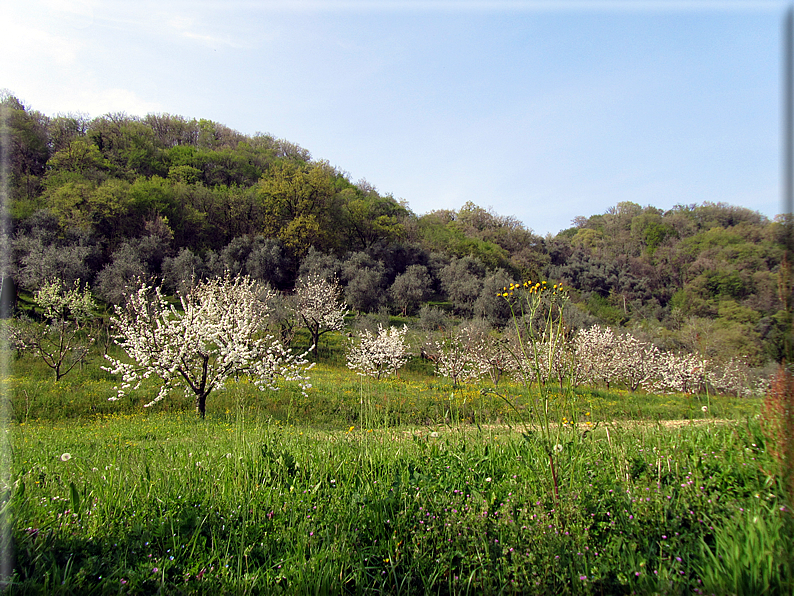 foto Colle San Benedetto